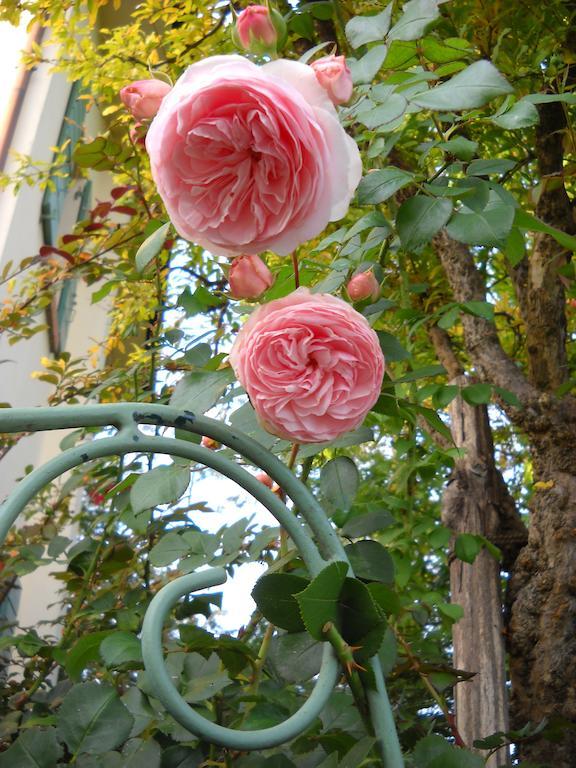 La Casa Del Giardiniere Villa Zero Branco ภายนอก รูปภาพ